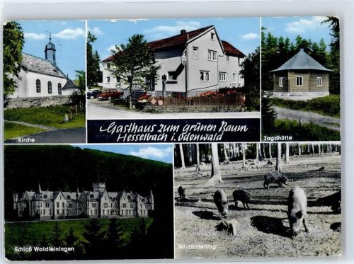 64754 W6121 Hesselbach , Odenw - Kirche Schloss Waldleiningen Jagdhütte Gasthaus zum grünen Baum