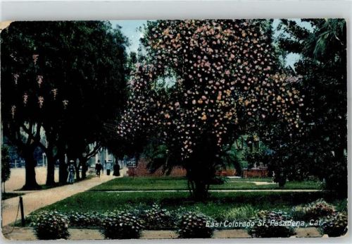 Pasadena 1908