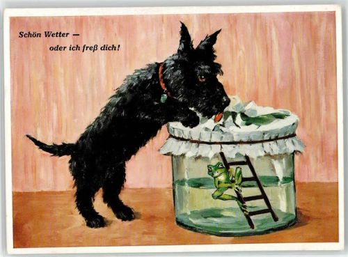 Terrier Humor
