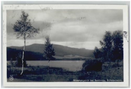 Seebrugg Stimmungsbild