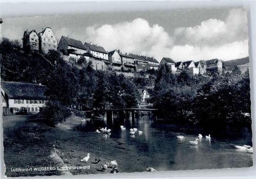 Wildberg