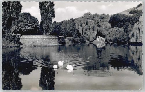 Letmathe Volkspark Schwanenteich