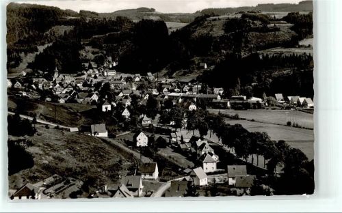 Steinwiesen