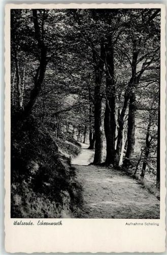 Walsrode Eckernworth Waldweg
