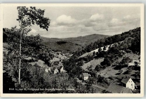 Strümpfelbrunn Blick in den Höllgrund