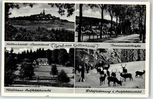 Kallenhardt Provinzialstraße Forsthaus Antfelderwald Wildfütterung