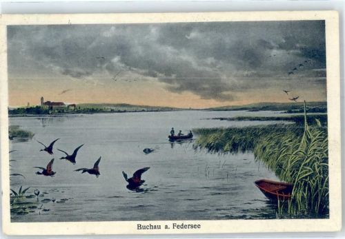 Bad Buchau Buchau am Federsee