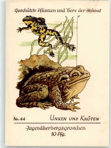Unken und Kröten Jugenherbergsgroschen No 44