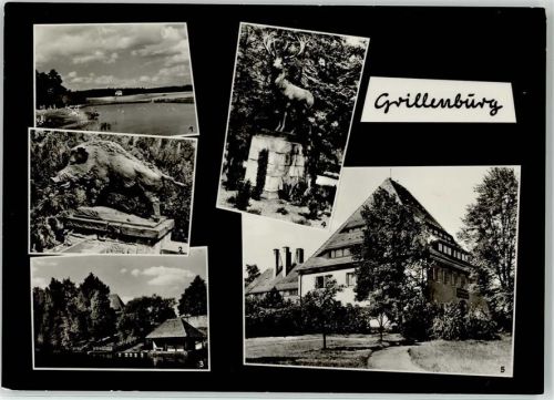 Grillenburg Gondelteich Kurheim Elsa Fenske Hirsch Wildschwein