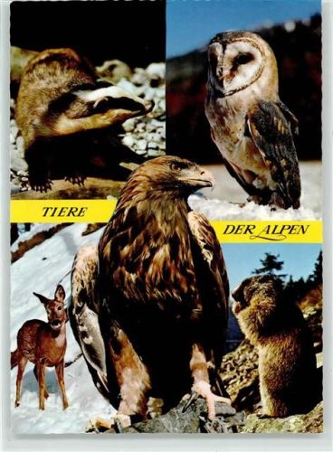 Tiere der Alpen