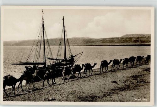 Amman Tote Meer Boot Kamele