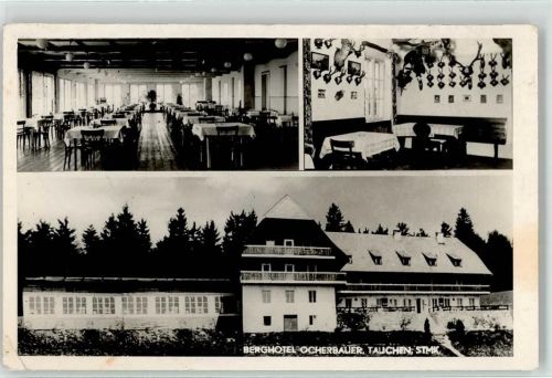 Tauchen
