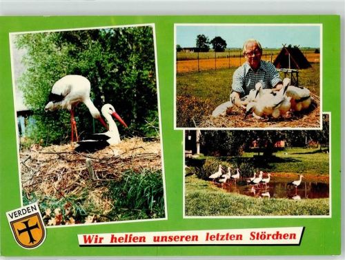 Verden Niedersächsische Storch Pflegestation