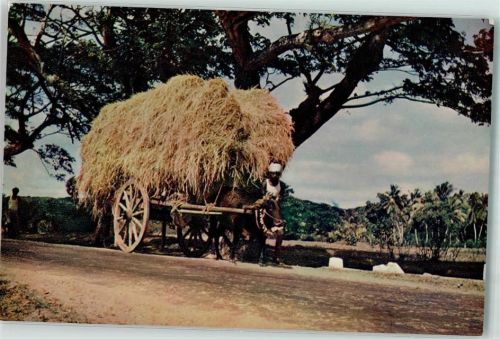 Anuradhapura Heuwagen