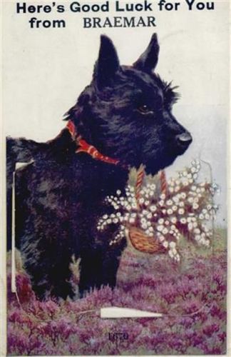Braemar Braemar (Großbritannien) Leporello Hund, Erika I-II (kleiner Einriss bei Leporello-Abdeckung, Stauchung, fleckig RS, kleine Abschürfung Ecke VS)