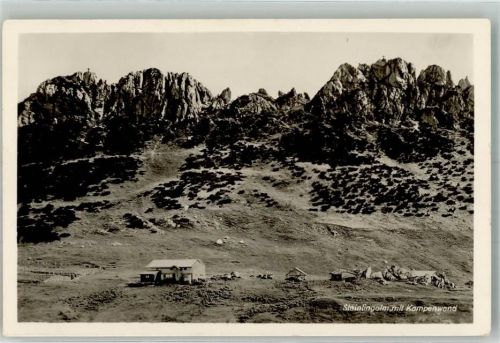 Steinlingalm Foto AK Berghütte mit Kampenwand