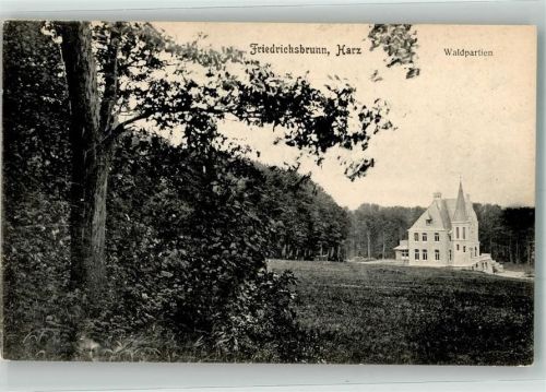 Friedrichsbrunn 1908 Villa am Waldrand