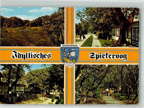 26474 W2941 Spiekeroog Foto AK Insel- und Ortsansichten Wappen Schafe