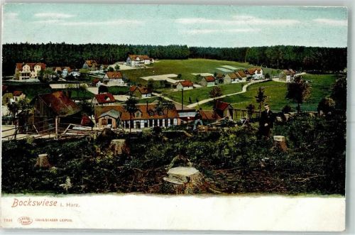 38640 W3380 Hahnenklee-Bockswiese , Oberharz - Mann Baumstumpf