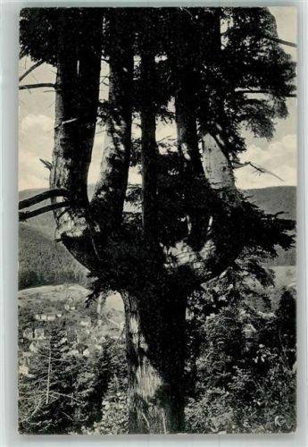 Unterreichenbach Leuchtertanne Verlag Sting 60059
