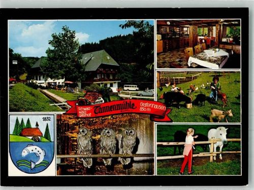 Grafenhausen Gasthaus Tannenmühle Eulen Pferde