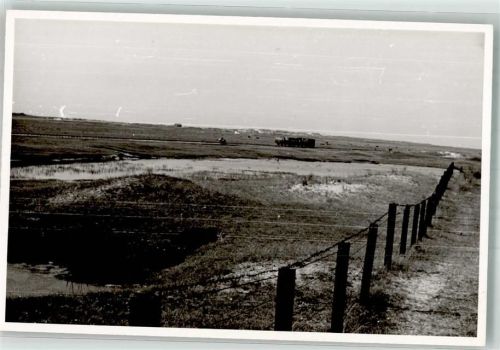 Spiekeroog Inselbahn Eisenbahn Foto Original aus Archiv eines Ansichtskartenverlages