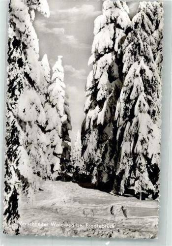 Erndtebrück Winter