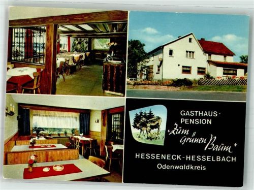 Hesselbach Gasthaus Pension Zum grünen Baum Werbekarte