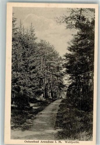 Arendsee Waldpartie