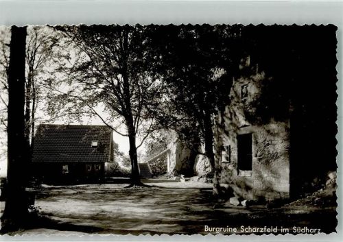 Scharzfeld Burgruine Scharzfeld