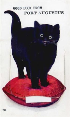 Fort Augustus Fort Augustus (Großbritannien) Leporello Katze II (kleine Einrisse bei Leporello-Abdeckung)