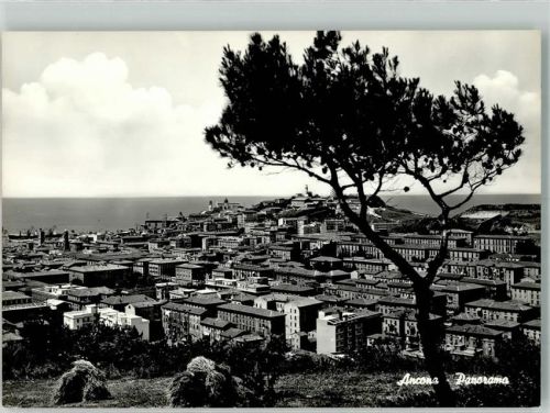 Ancona