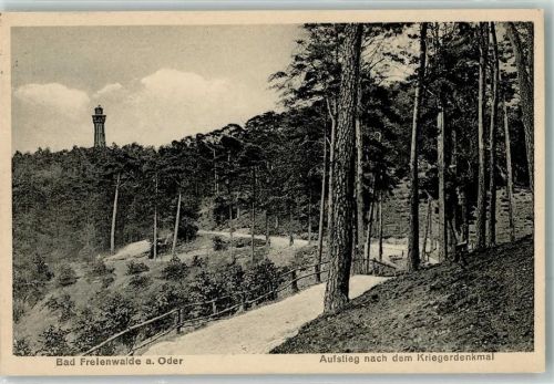 Bad Freienwalde 1925 Aussichtsturm auf dem Galgenberg Kriegerdenkmal Verlag Meyerheim 2162