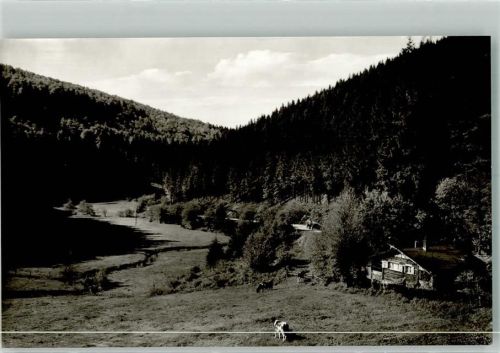 Willingen Hermeketal Kuh