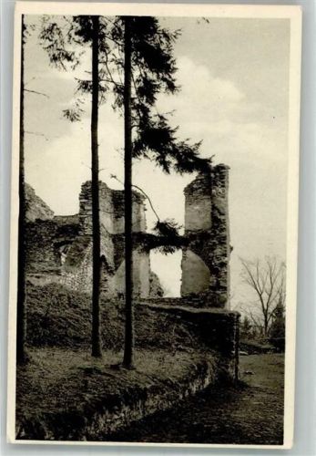 Tábor Burg Ruine Schellenberg Jung-Woschitz Spende