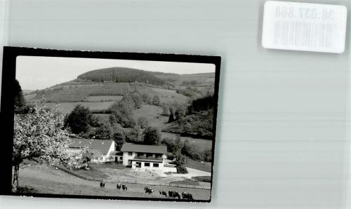 Alertshausen Kühe Ort handschriftlich Foto Original aus Archiv eines Ansichtskartenverlages