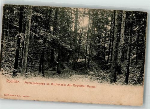 Rochlitz Promenadenweg Buchenhain Rochlitzer Berge