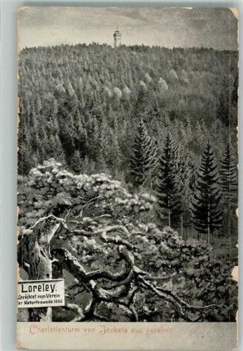 Jocketa 1916 Charlottenturm auf dem Eisenberg von Jocketa gesehen