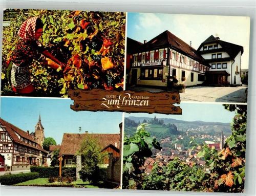 Kappelrodeck Hotel Gasthaus zum Prinzen Wein - Lese