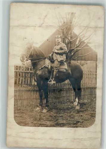 Pferd Privatfoto AK
