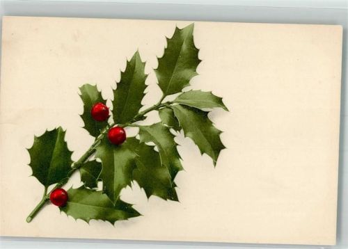 Ilex Martin Rommel u. Co. 539