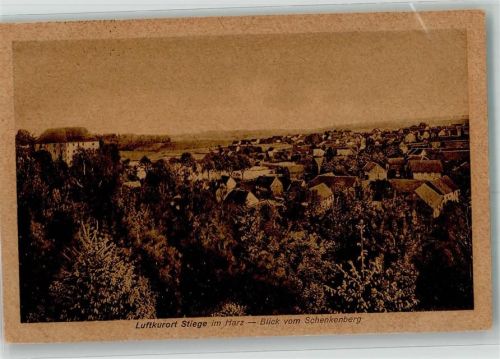 Stiege 1925 Panorama des Ortes mit Schloss Stiege