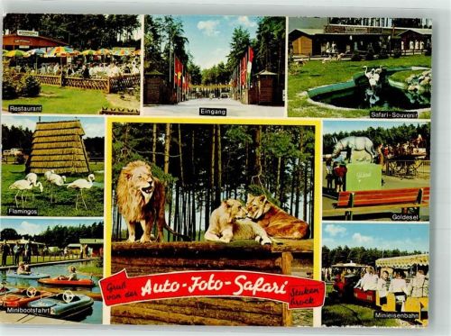 Stukenbrock Senne-Grosswild-Safari