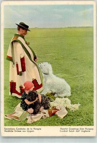 Hirte in landestypischer Tracht mit Kind und Pudeln