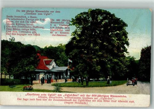Eutin-Sielbeck 1910 Gasthaus zum Uglei mit 600jähriger Rieseneiche