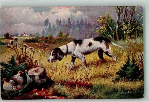 1918 Jagdhund schnuppert am Rebhuhngelege