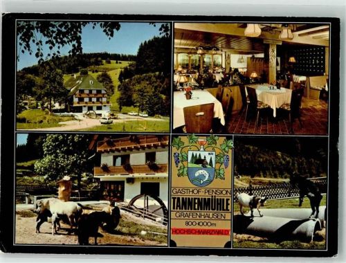 Grafenhausen Gasthaus Pension Tannenmühle