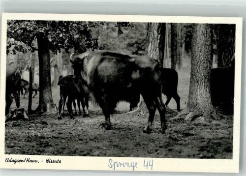 Eldagsen Wisentgehege Springe