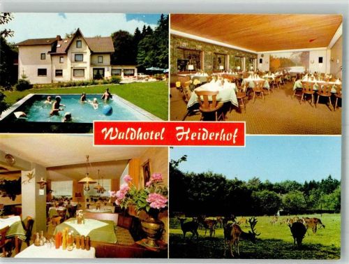 Obersteinebach Waldhotel Heiderhof