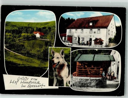 Eschau Gasthaus Pension Hof Hundsrück im Spessart Brunnen Schäferhund Fotograf Dittmann